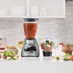 Oster Classic Series 16 Speed Blender with Food Chopper and Glass Jar, Brushed Nickel