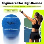 60 Packs Tennis Balls for Training and Pets, High Elasticity Practice Tennis Balls with Mesh Bag for Transport and Beginner Exercise, Durable Dog Playing Ball Set Multi-Pack Colored Balls Mixed Color