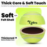 60 Packs Tennis Balls for Training and Pets, High Elasticity Practice Tennis Balls with Mesh Bag for Transport and Beginner Exercise, Durable Dog Playing Ball Set Multi-Pack Colored Balls Mixed Color