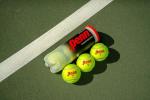 Penn Championship Regular Duty Tennis Balls - 1 Can
