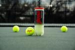 Penn Championship Regular Duty Tennis Balls - 1 Can