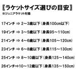 Wilson Pro Staff Precision Junior 21 Tennis Racket - Black/Red