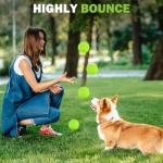 FURWEY Tennis Balls, 24/36/80 Pack Bulk Tennis Balls Pressureless Tennis Ball, Come with Mesh Bag for Easy Transport,Pet Dog Playing Balls, Good for Beginner Training Ball