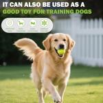 FURWEY Tennis Balls, 24/36/80 Pack Bulk Tennis Balls Pressureless Tennis Ball, Come with Mesh Bag for Easy Transport,Pet Dog Playing Balls, Good for Beginner Training Ball