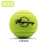 Magicorange Tennis Balls, 6 Pack Advanced Training Tennis Balls Practice Balls, Pet Dog Playing Balls, Come with Mesh Bag for Easy Transport, Good for Beginner Training Ball (Yellow) (Yellow)