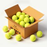 MRYCZ FYRHD Training Tennis Balls – 60 Pack Practice Balls with Mesh Bag, Great for Beginners & Dogs, Bulk Tennis Balls for Training & Play