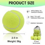 LITIAN 12 Pack Beginner Tennis Balls with Bag