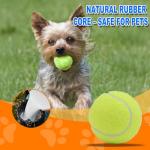 LITIAN 12 Pack Beginner Tennis Balls with Bag