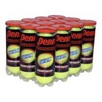 Penn Championship (20 Cans, 60 Balls Total Regular Duty Felt)