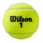 WILSON Roland Garros Clay Tennis Ball - 3 Ball Can