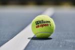 WILSON US Open Tennis Balls - Extra Duty, 24 Can Case (72 Balls)
