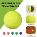 INSUM 30 Pack Tennis Balls for Practice & Play