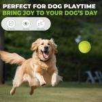 INSUM 30 Pack Tennis Balls for Practice & Play