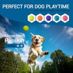 20 Pack High Elasticity Tennis Balls with Mesh Bags