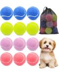 GOLDNITE 12-Pack Training Tennis Balls with Bag