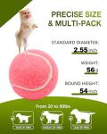 GOLDNITE 12-Pack Training Tennis Balls with Bag