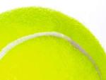 Penn Championship High Altitude Tennis Balls - 12 Pack