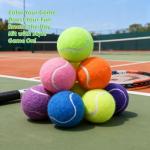 AOXEQUIP 2.58" Training Tennis Balls - 8 or 20 Pack