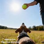 AOXEQUIP 2.58" Training Tennis Balls - 8 or 20 Pack