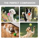PHOEPET 6-Pack Colorful Tennis Balls for Dogs