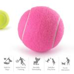 PHOEPET 6-Pack Colorful Tennis Balls for Dogs