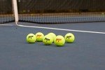 Penn Championship Extra Duty Tennis Balls - 2 Cans