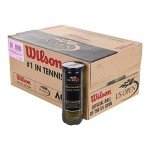 Wilson US Open Extra Duty Tennis Balls (Case)