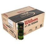 Wilson US Open Extra Duty Tennis Balls (Case)