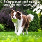 SHYUJAJIE 20-Pack High-Elasticity Tennis Balls