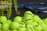 GAMMA Sports Pressureless Tennis-Balls Box, Bulk Tennis Balls, Premium Tennis Accessories, Pack of 75, CPP7510