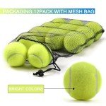 insum 12 Pack Bulk Tennis Balls for Beginner – High Elasticity Practice Tennis Balls, with Mesh Bag for Pet Dog Training, Catching
