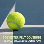 insum 12 Pack Bulk Tennis Balls for Beginner – High Elasticity Practice Tennis Balls, with Mesh Bag for Pet Dog Training, Catching