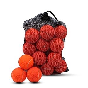 Swingers 20 Pack Tennis Balls,Training Exercise Balls for Pet Dog, High Elasticity Practice Tennis Balls for Beginner, with Mesh Carry Bag Easy to Transport (Orange)