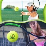 Seenelling 12 Pcs Training Tennis Balls Funny Tennis Gifts with Mesh Carry Bag, High Elasticity Practice Exercise Tennis Balls for Tennis Teammate Partners Women