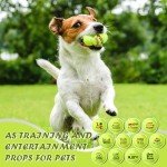 Seenelling 12 Pcs Training Tennis Balls Funny Tennis Gifts with Mesh Carry Bag, High Elasticity Practice Exercise Tennis Balls for Tennis Teammate Partners Women