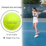 Swity Home Tennis Balls, 12 Pack Tennis Training Balls for Adults Kids Lessons, Practice or Playing with Pet (Regular Color)
