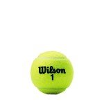 WILSON Championship Tennis Balls - Regular Duty, Single Can (3 Balls)
