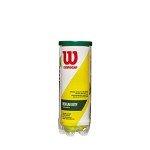 WILSON Championship Tennis Balls - Regular Duty, Single Can (3 Balls)