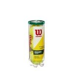 WILSON Championship Tennis Balls - Regular Duty, Single Can (3 Balls)