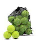 Swingers 20 Pack Tennis Balls,Training Exercise Balls for Pet Dog, High Elasticity Practice Tennis Balls for Beginner, with Mesh Carry Bag Easy to Transport (Yellow)