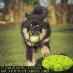 Swingers 20 Pack Tennis Balls,Training Exercise Balls for Pet Dog, High Elasticity Practice Tennis Balls for Beginner, with Mesh Carry Bag Easy to Transport (Yellow)