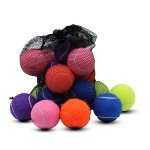 Swingers 20 Pack Tennis Balls,Training Exercise Balls for Pet Dog, High Elasticity Practice Tennis Balls for Beginner, with Mesh Carry Bag Easy to Transport (Multicolor)