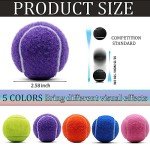 Swingers 20 Pack Tennis Balls,Training Exercise Balls for Pet Dog, High Elasticity Practice Tennis Balls for Beginner, with Mesh Carry Bag Easy to Transport (Multicolor)