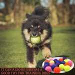 Swingers 20 Pack Tennis Balls,Training Exercise Balls for Pet Dog, High Elasticity Practice Tennis Balls for Beginner, with Mesh Carry Bag Easy to Transport (Multicolor)