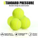 MRYCZ FYRHD 30 Pack Tennis Balls, Advanced Pressureless Balls, Pet Dog Playing Balls, Practice Tennis Balls with Mesh Bag and Shock Absorbers for Transport and Beginner Training