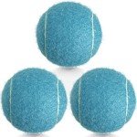 HiBallBall Tennis Balls, 3 Pack Practice Tennis Balls for Beginner, Durable Training Tennis Balls for Dogs (Blue)