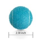 HiBallBall Tennis Balls, 3 Pack Practice Tennis Balls for Beginner, Durable Training Tennis Balls for Dogs (Blue)