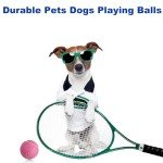 HiBallBall Tennis Balls, 3 Pack Practice Tennis Balls for Beginner, Durable Training Tennis Balls for Dogs (Blue)