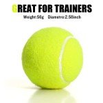 MRYCZ FYRHD 40 Pack Tennis Balls, Advanced Training Tennis Balls, Tennis Balls for Dogs, Bulk Tennis Balls for Practice with Mesh Bag for Easy Transport, Good for Beginner Training Ball