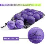 Insum 12-Pack Advanced Training Tennis Balls for Beginner Practice, Pet Dog Tennis Balls with Mesh Bag for Easy Carry